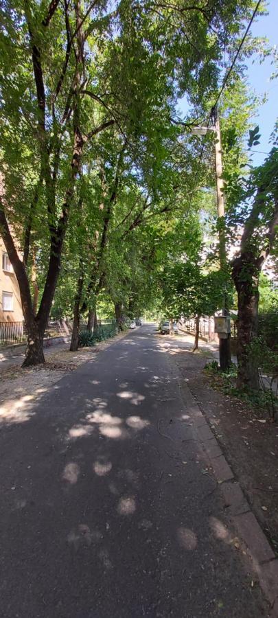 Gabrielle2 Apartman 德布勒森 外观 照片